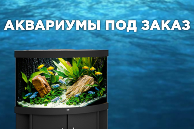 аквариумы и тумбы под заказ