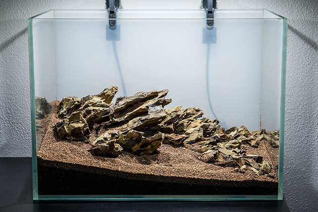 мастер-класс: ивагуми в аквариуме с камнями