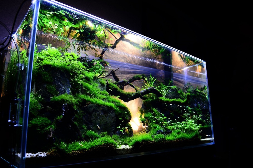 a65736f8fd93fa6dcd423b7ad687713a.jpg a65736f8fd93fa6dcd423b7ad687713a.jpg