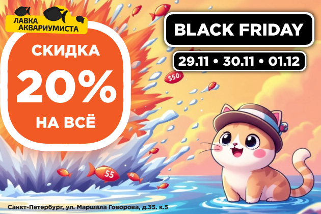Черная пятница 2024. Скидка 20% на всё! Черная пятница 2024. Скидка 20% на всё!