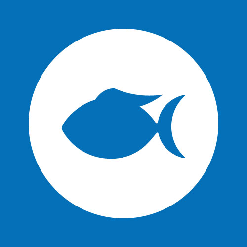 Поступление рыбок и растений от 14.12.2020