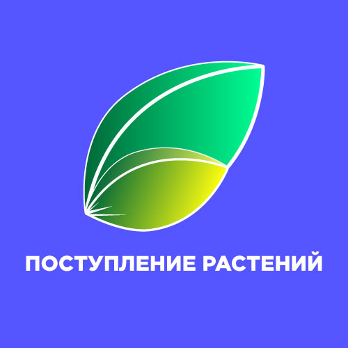 Долгожданное большое поступление растений!