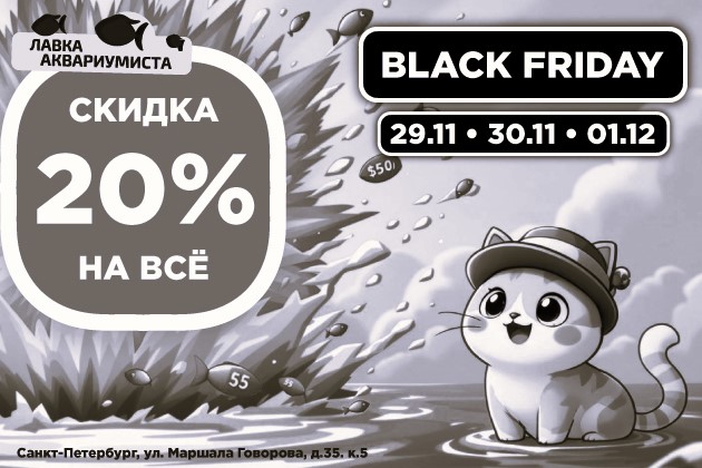 Черная пятница 2024. Скидка 20% на всё!