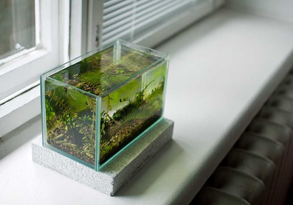 579bc915e627a13ea1052a97cac79528.jpg 579bc915e627a13ea1052a97cac79528.jpg