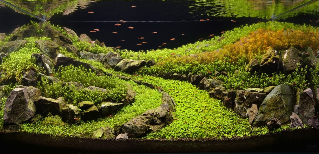 2e0c72ec3e8ceee35dd325be4e83d700.jpg 2e0c72ec3e8ceee35dd325be4e83d700.jpg