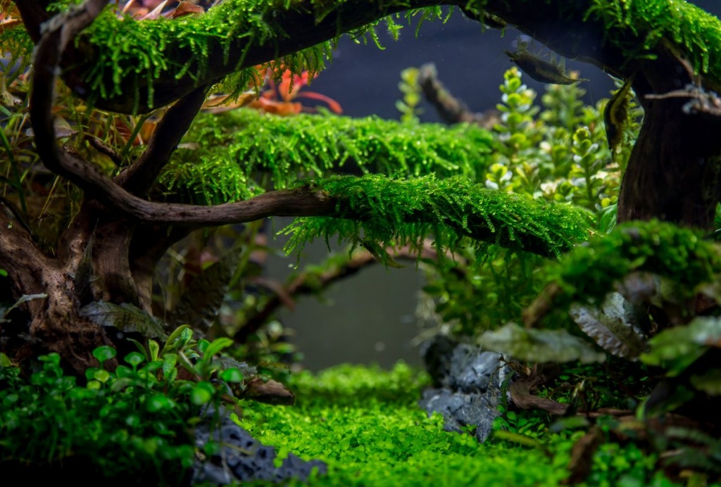 f3b80a8b6c791456e8280614f9542f58.jpg f3b80a8b6c791456e8280614f9542f58.jpg