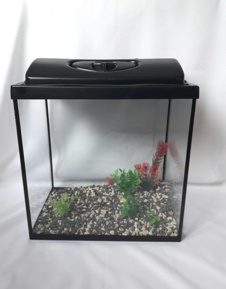 a80aa1a8dfd33d07afe1fc512312ebf4.jpeg a80aa1a8dfd33d07afe1fc512312ebf4.jpeg