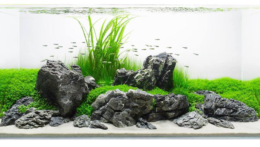 fc5ae8c6f61de10fc11ccc1961672250.jpg fc5ae8c6f61de10fc11ccc1961672250.jpg