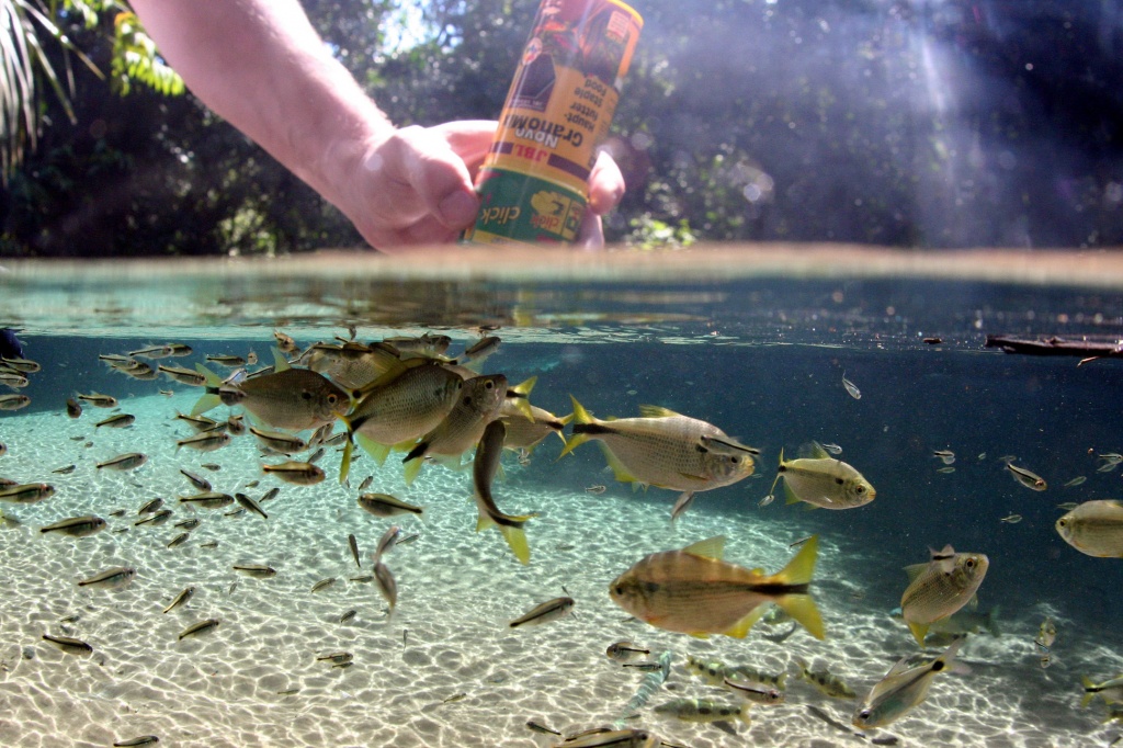 02c5a5bd2209c194b6ee117c7238bcd3.jpg 02c5a5bd2209c194b6ee117c7238bcd3.jpg