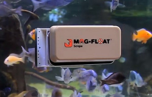 2d56dcd23dcb7f862ba6c986ac7dffcf.jpg 2d56dcd23dcb7f862ba6c986ac7dffcf.jpg